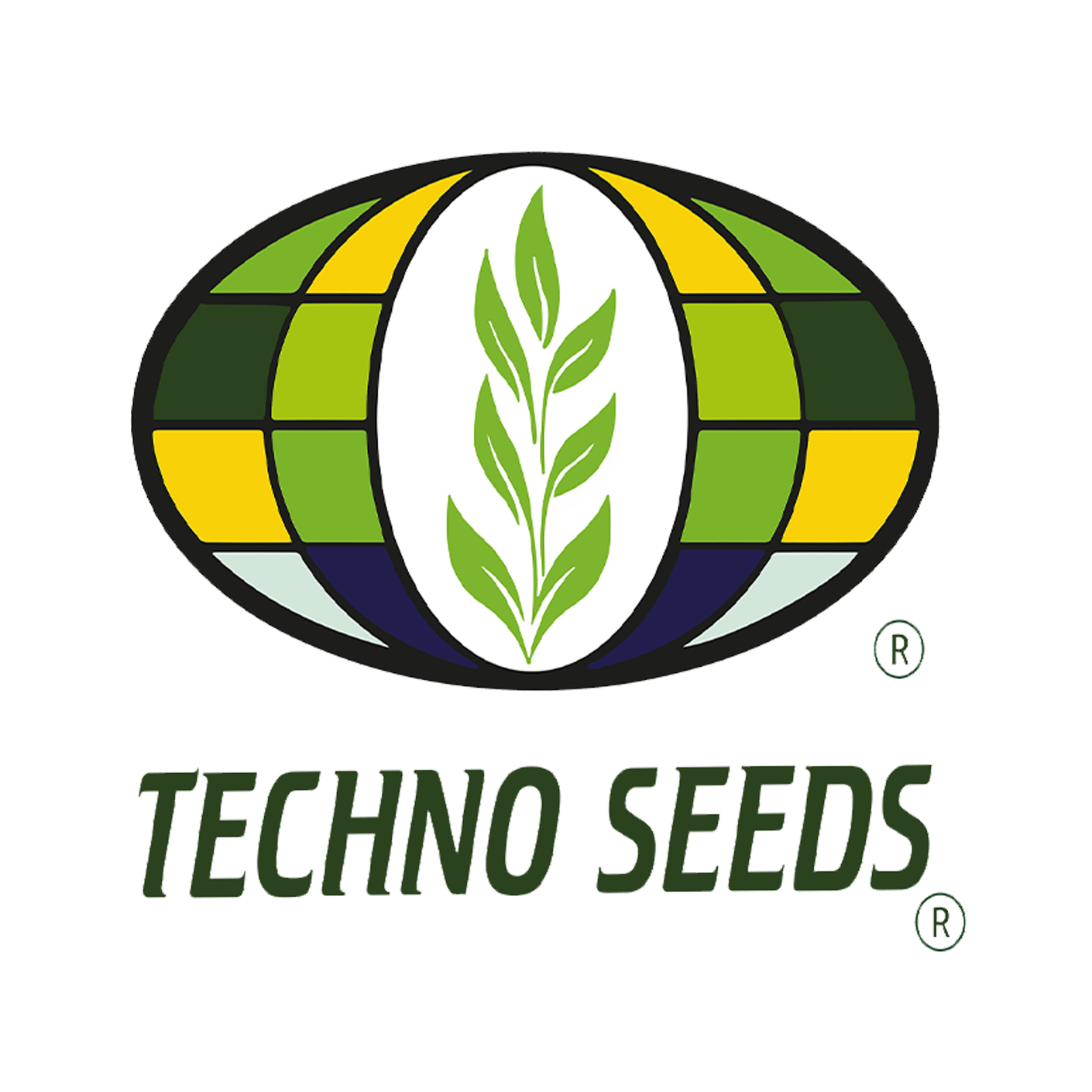 Techno Seeds